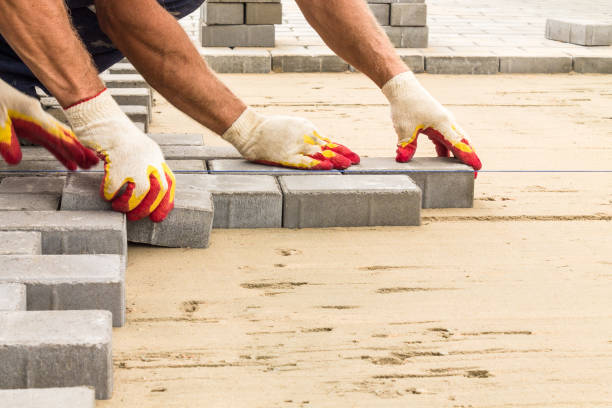Best Driveway Paving Contractor  in Dovesville, SC