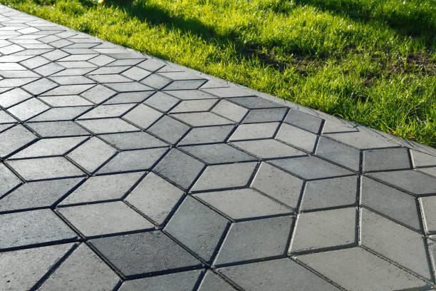 Best Driveway Paving Contractor  in Dovesville, SC