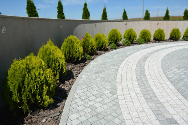 Best Cobblestone Driveway Pavers  in Dovesville, SC